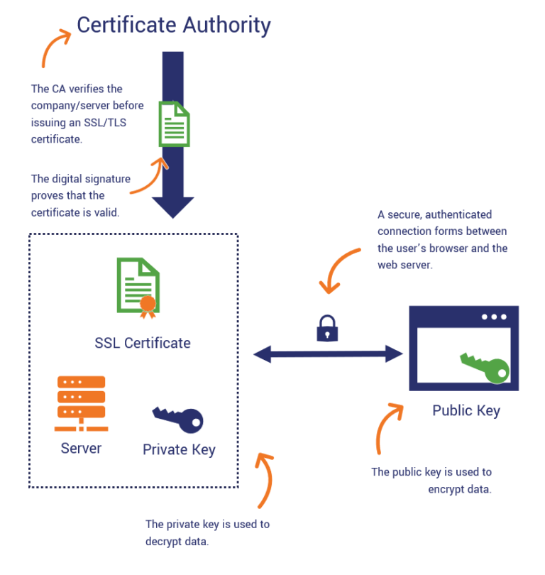 What Is a Certificate Authority (CA) and What Does It Do? - Hashed Out ...