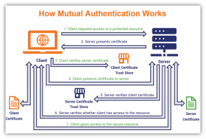 Client Authentication Certificate 101: How to Simplify Access Using PKI ...